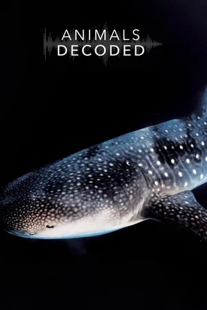 Animals Decoded