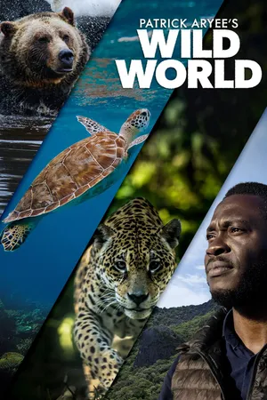Patrick Aryee's Wild World
