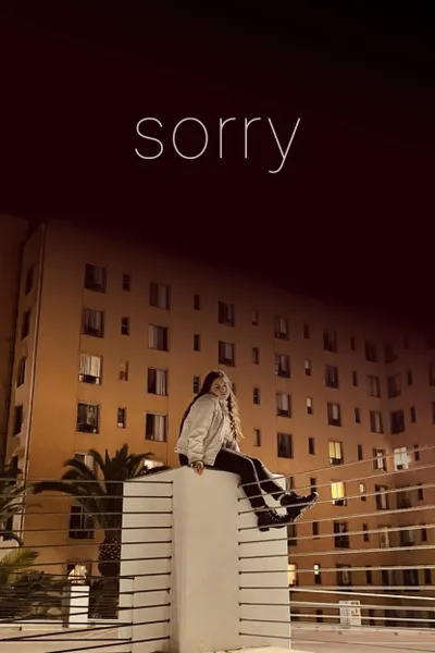 Louis C.K.: Sorry
