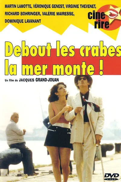 Debout les crabes, la mer monte!