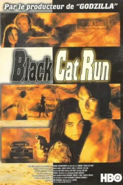 Black Cat Run
