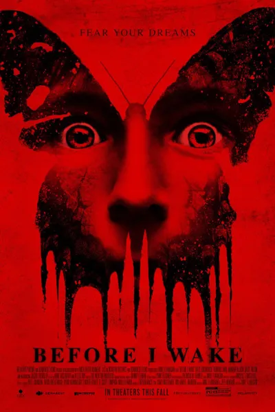 Before I Wake