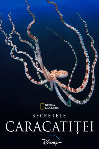 Secrets of the Octopus