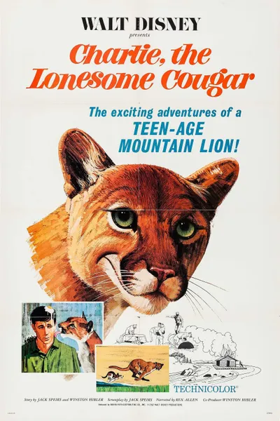 Charlie, the Lonesome Cougar